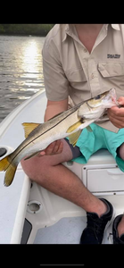 Snook Fishing delights in Jacksonville